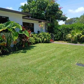 yard service by AvantGarde Industries reviewed on July 16, 2025