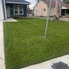 grass maintenance by TV Lawncare reviewed on October 19, 2023