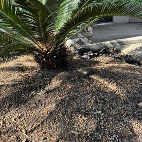 Bush Trimming by Daniel's lawn care service LLC reviewed on December 3, 2025