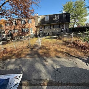 Leaf Removal by TG Lawn Services reviewed on November 8, 2024