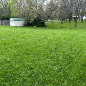 landscaping services by Mariscal Lawn and Landscaping LLC reviewed on August 17, 2025