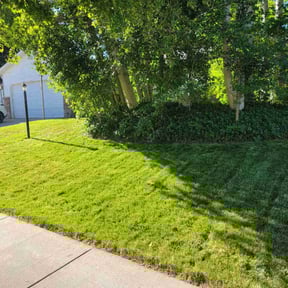 residential landscaping by Four seasons landscaping & snow removal reviewed on August 13, 2025