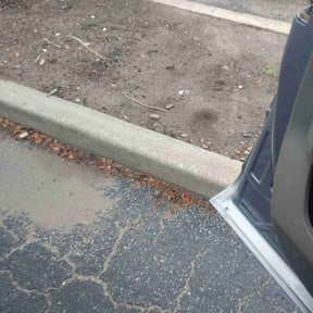 Bush Trimming by Highly Favored Lawn Care reviewed on November 6, 2025