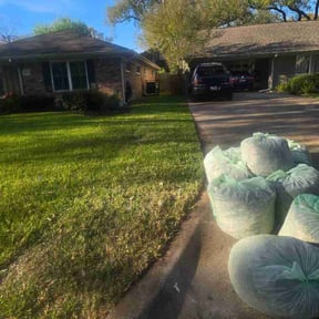 Leaf Removal by St Charles Services reviewed on March 19, 2026