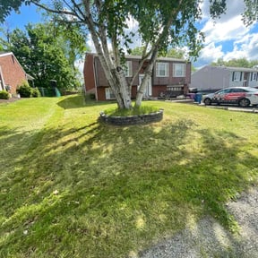 lawn maintenance by Aplus home helpers reviewed on October 5, 2024