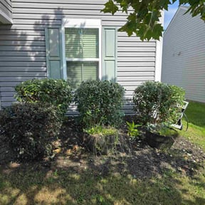 Bush Trimming by SGP Lawn Services reviewed on November 8, 2025