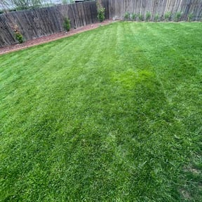 yard work by Stephen Reynolds reviewed on August 15, 2025