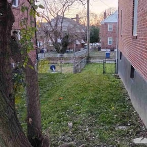 Leaf Removal by Rocky Top Lawn reviewed on September 20, 2025