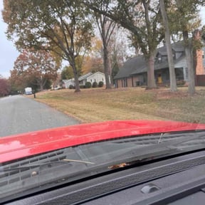 Leaf Removal by The Grass Guy reviewed on January 4, 2026