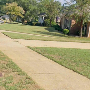 gardening service by Pimelawn care. reviewed on November 22, 2025