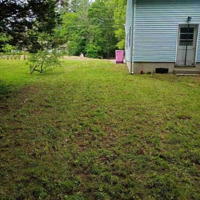 Leaf Removal by Fifty-four71 Landscapes reviewed on May 24, 2026