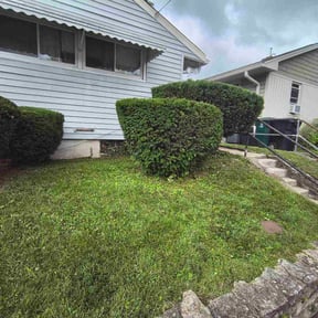 Bush Trimming by Ultimate Landscape Contractor reviewed on June 20, 2026