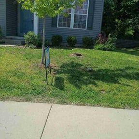 Bush Trimming by BRT Lawns reviewed on April 27, 2026