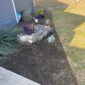 Flower Bed Weeding by Desert Innovations Landscaping  reviewed on February 10, 2026