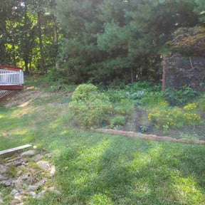 Bush Trimming by TMD ELITE PROPERTY PRESERVATION LLC reviewed on August 18, 2025