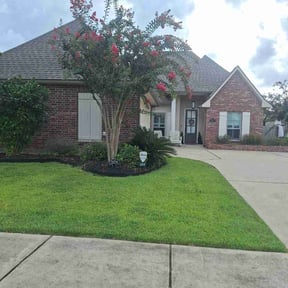 landscaping by Clutch Bush hog &amp; lawn care reviewed on December 6, 2025