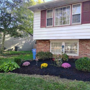 Flower Bed Weeding by Magnificent pressure cleaning and more reviewed on October 19, 2025