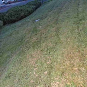 Bush Trimming by Good Boy Grass reviewed on April 29, 2026