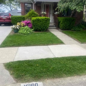 grass cutting by Honestly Ionesty reviewed on August 16, 2025