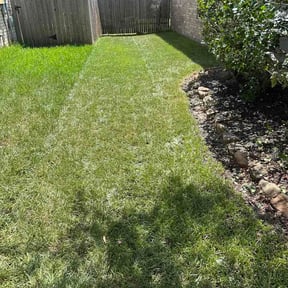 Bush Trimming by A native lawn care reviewed on August 5, 2026