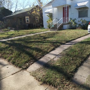 Leaf Removal by square yard reviewed on September 19, 2025