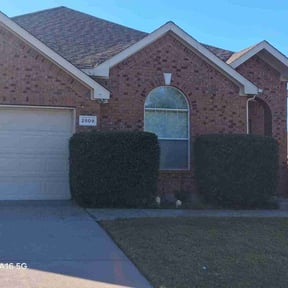 Bush Trimming by Nature Baby&#039;s Lawn Maitenace reviewed on October 18, 2025