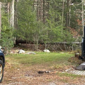 Leaf Removal by ZKZ Landscape &amp; Design reviewed on November 22, 2025