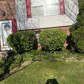 Bush Trimming by Lara Janitorial Services LLC reviewed on April 18, 2026