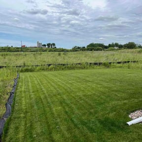 turf care by Vanessa's lawncare services reviewed on April 26, 2022