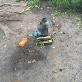 Leaf Removal by DT&amp;K LawnCare reviewed on September 8, 2025