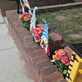 Mulching by Border 2 border landscaping reviewed on August 19, 2025