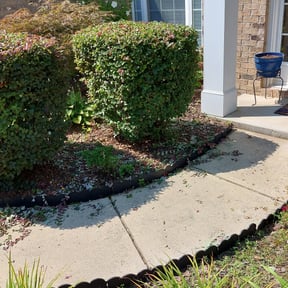 Bush Trimming by Lawn Impression reviewed on August 19, 2025