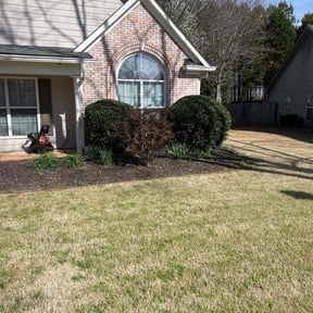 Bush Trimming by TM lawn pros reviewed on August 18, 2025