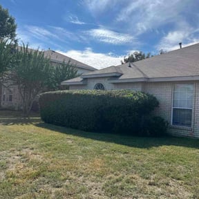 Bush Trimming by J&amp;J property management reviewed on August 23, 2024