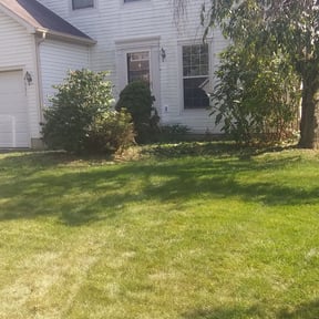 Bush Trimming by Bartell and son reviewed on August 15, 2025