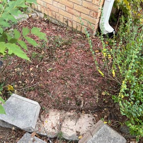 Flower Bed Weeding by Ittys enterprises reviewed on November 10, 2025