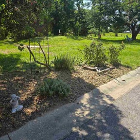 Flower Bed Weeding by Elaine Lawncare reviewed on July 5, 2026