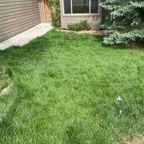 residential landscaping by B and b lawn and professional services llc reviewed on August 19, 2025