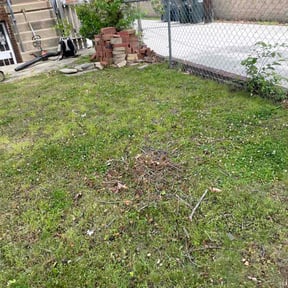 Leaf Removal by B&amp;C Lawn and Landscaping LLC reviewed on May 27, 2026