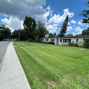 landscaping by Trim De Busche reviewed on November 20, 2025