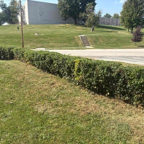 Bush Trimming by Mopez Mowing and more reviewed on October 21, 2025