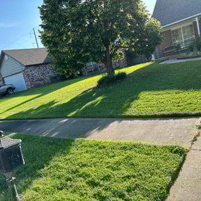 yard work by Anthony's Lawn and Maintenance reviewed on August 17, 2025