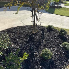 Flower Bed Weeding by Coles Cove reviewed on November 22, 2025