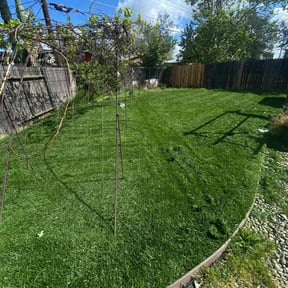 yard service by Diego Mojica Lawn Care reviewed on August 18, 2025