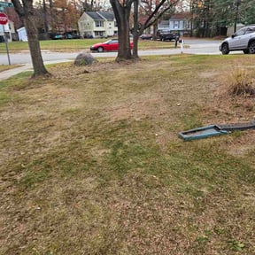 Leaf Removal by Pauls lawn cuts and more reviewed on September 10, 2025