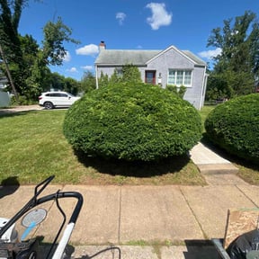 Bush Trimming by Verified Business Services LLC reviewed on May 8, 2024