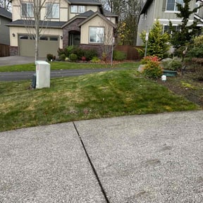 Leaf Removal by Dragonfly Lawn Care reviewed on October 22, 2025