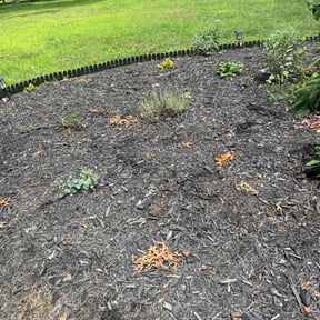 Flower Bed Weeding by Can’t Stop Won’t Stop Lawn Care reviewed on August 20, 2026