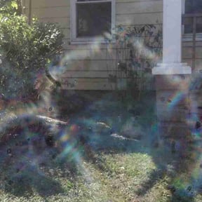 Bush Trimming by DWTS LAWN CARE reviewed on October 18, 2025