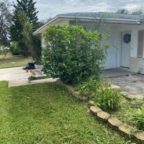 Bush Trimming by DC Landscape reviewed on November 6, 2025